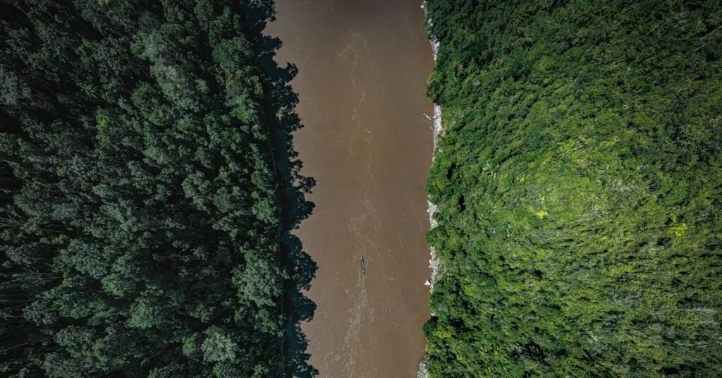 Fundo global de florestas tropicais