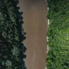 Brasil anuncia US$ 1 bilhão para fundo global de florestas tropicais