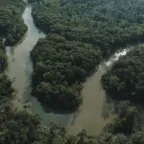 Brasil desacelera o desmatamento, mas avanço do agronegócio ainda ameaça biomas