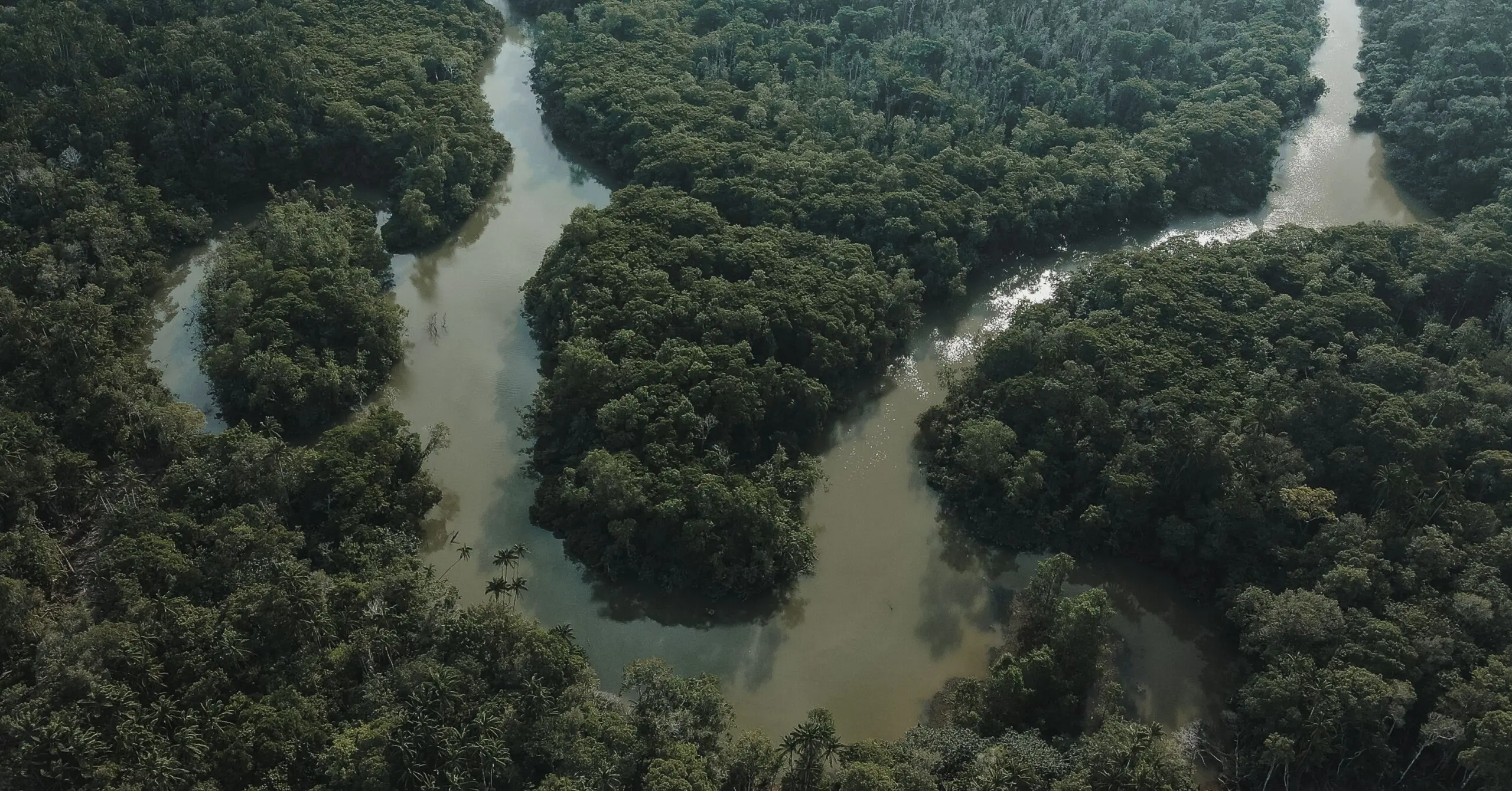 Brasil desacelera o desmatamento, mas avanço do agronegócio ainda ameaça biomas