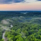COP30 terá pavilhão inédito dedicado à remoção de carbono em Belém