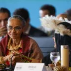 Brasil inaugura mercado verde com as primeiras Cotas de Reserva Ambiental