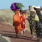 Crise climática empurra um bilhão de pessoas para a pobreza extrema