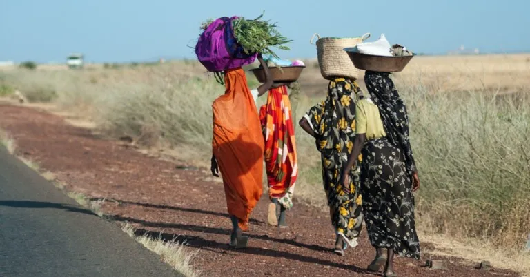 Crise climática empurra um bilhão de pessoas para a pobreza extrema