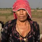 Trabalho sem direitos ainda define a rotina das mulheres rurais