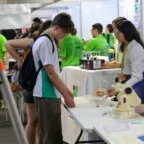 PNE propõe investimento de 7,5% do PIB para educação nos próximos dez anos