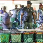 Sul Global exige alívio da dívida para retomar investimento em emprego e renda