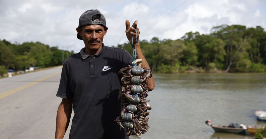 Proteção da Amazônia