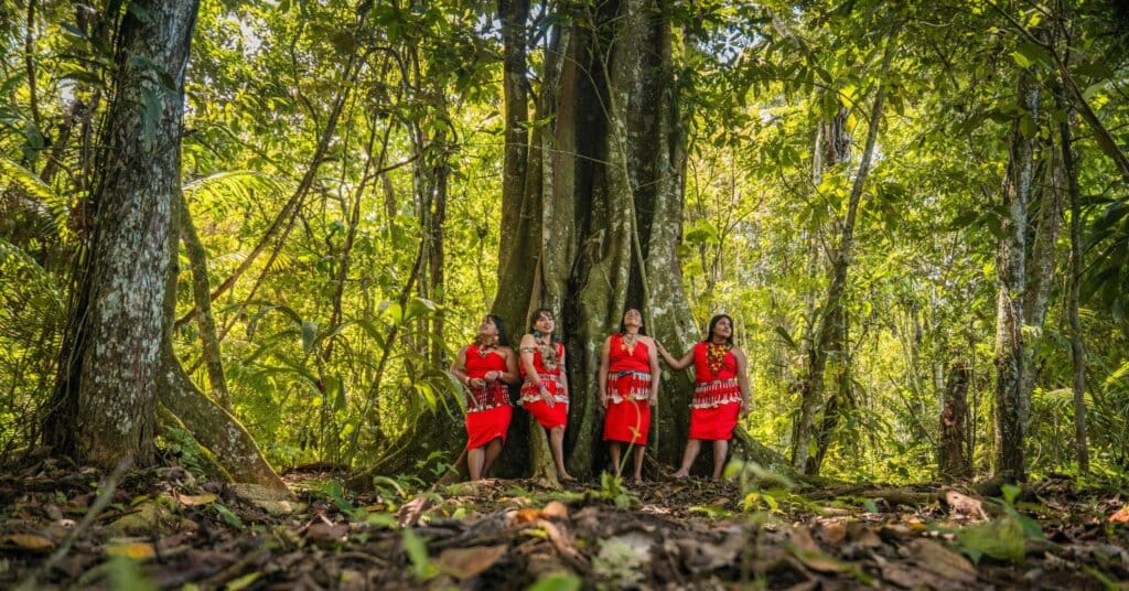 Restaura Amazônia