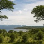 Verra pede compensação por créditos excedentes do projeto Kariba no Zimbábue