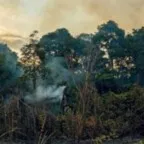 Brasil pode enfrentar uma elevação de 4ºC a 4,5ºC em relação à temperatura pré-industrial, diz Paulo Artaxo