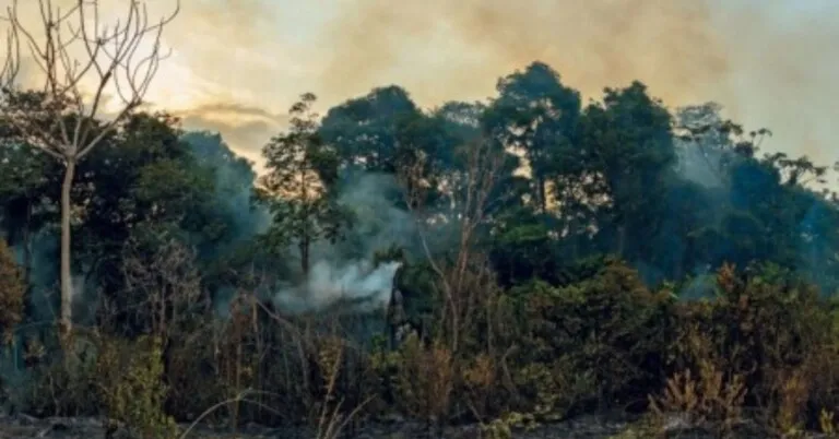 Brasil pode enfrentar uma elevação de 4ºC a 4,5ºC em relação à temperatura pré-industrial, diz Paulo Artaxo