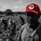 As mãos que alimentam o país: o Brasil que germina nos assentamentos do MST