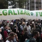 STJ adia prazo para regulamentação do plantio de cannabis medicinal