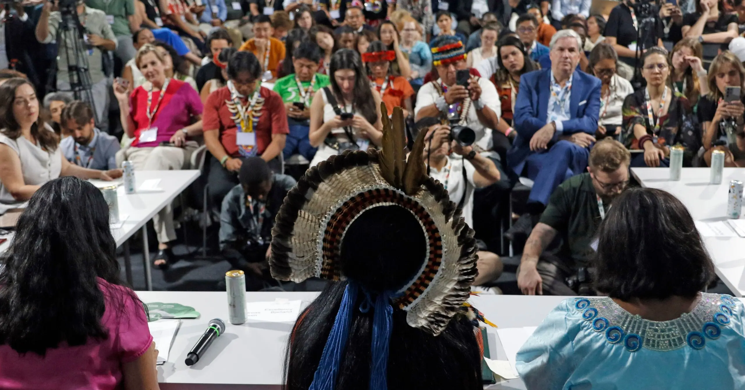 Constituição ecológica