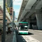 Tarifa Zero em São Paulo reacende debate sobre mobilidade e financiamento público