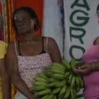 Transição agroecológica avança na América Latina, mas esbarra em limites estruturais