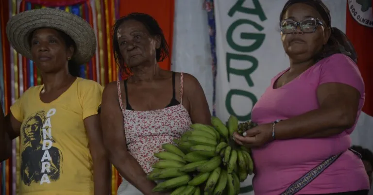 Transição agroecológica avança na América Latina, mas esbarra em limites estruturais