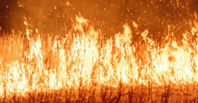 Novo relatório da ONU expõe riscos de um planeta 2,3 °C mais quente