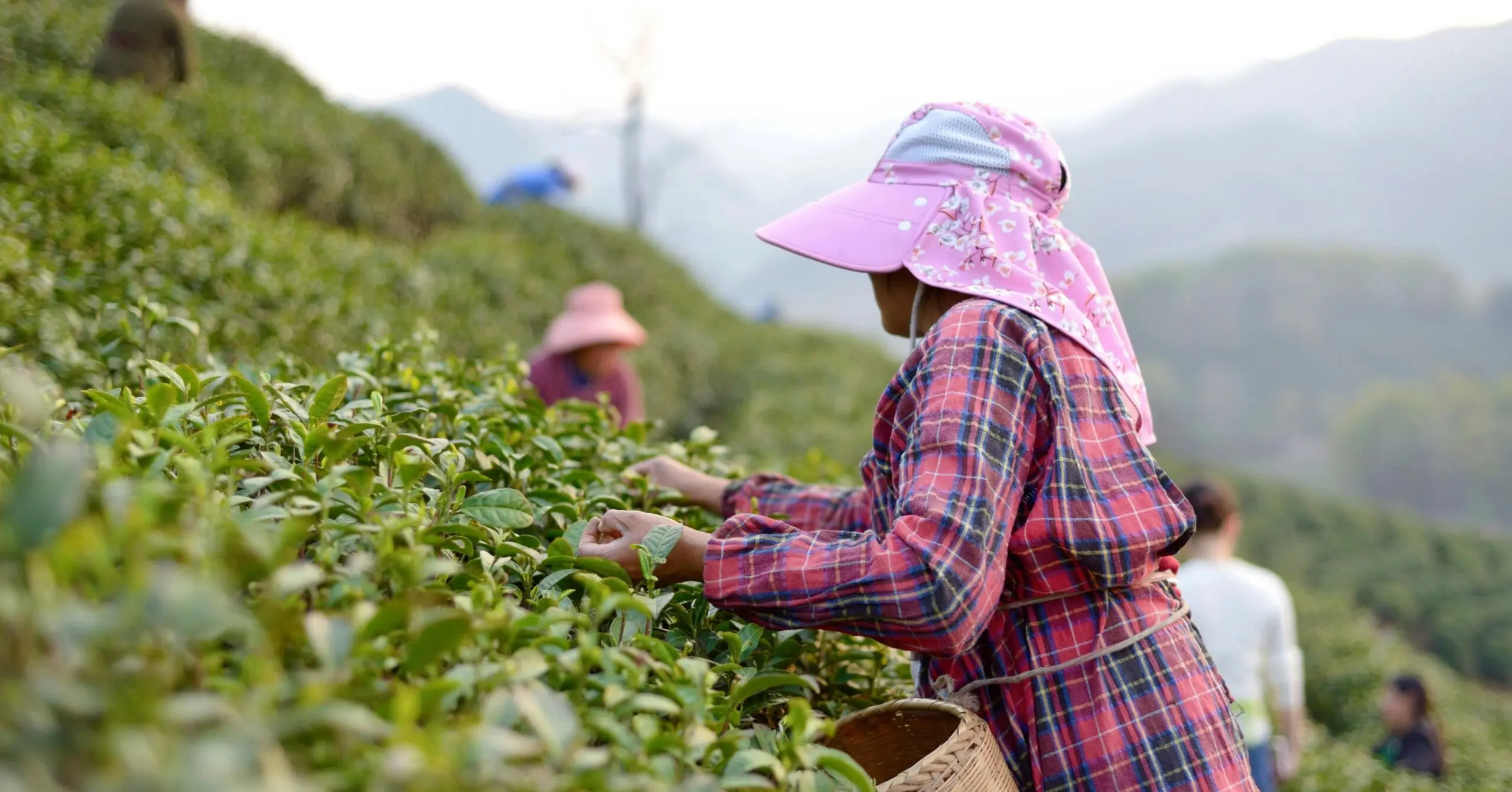 Informalidade domina trabalho rural na América Latina afetando jovens e mulheres<div class="iad-mobile-excerpt">Brasília (DF) — Um relatório conjunto da Organização Internacional do Trabalho e da FAO revelou que 80% dos trabalhadores rurais da América […]</div><div class="iad-cat-meta">  <a href="https://www.iadodinheiro.com.br/author/jcarlosredator/" class="iad-cat-link">    <span class="iad-cat-name">José Carlos Sanchez Jr.</span>  </a>  <span class="iad-cat-sep"> | </span>  <span class="iad-cat-date">04.12.2025</span></div>