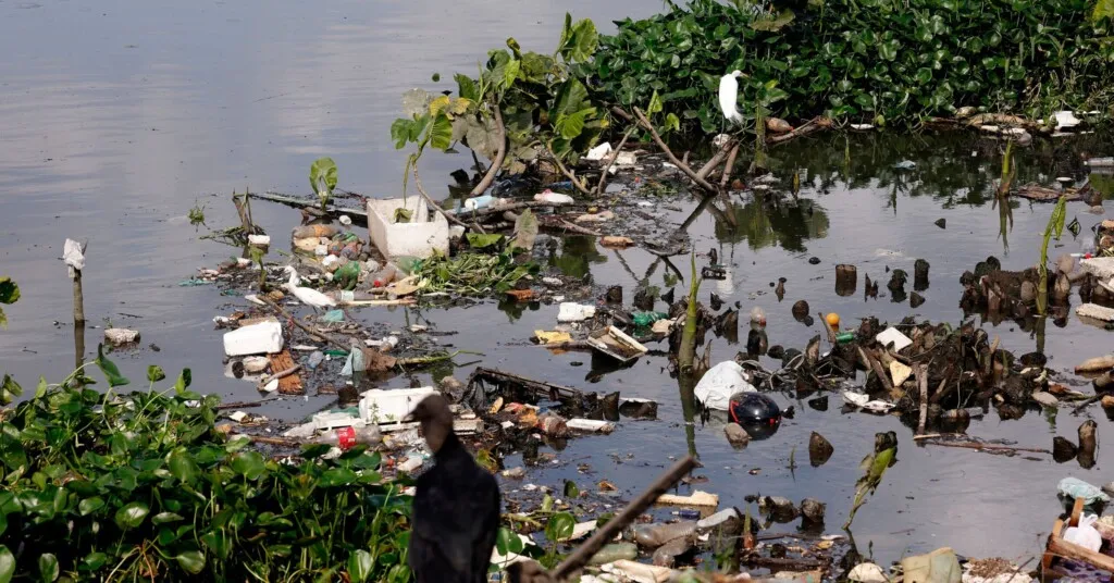 Universalização do saneamento