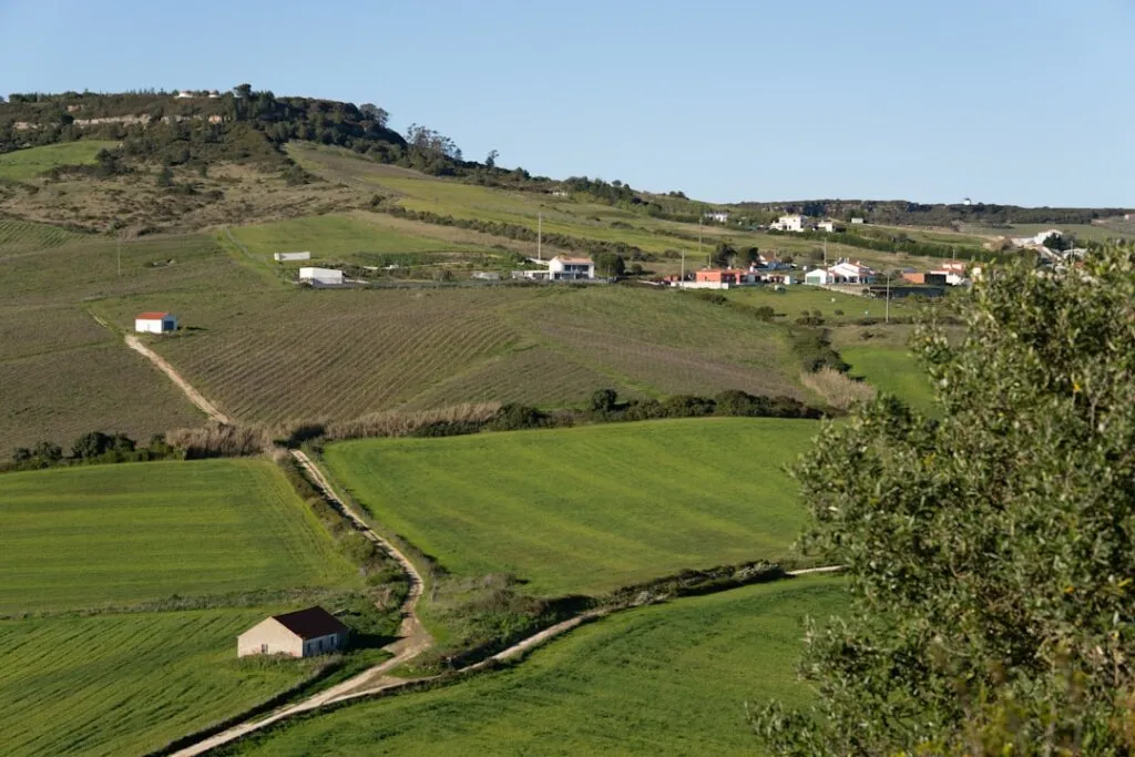 Desenrola Rural abre nova rodada para renegociar dívidas; veja quem pode pedir e como aderir