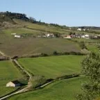 Desenrola Rural abre nova rodada para renegociar dívidas; veja quem pode pedir e como aderir