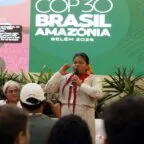 Finep financia malva na Amazônia: trabalhador ribeirinho pode ganhar mais e ter direitos